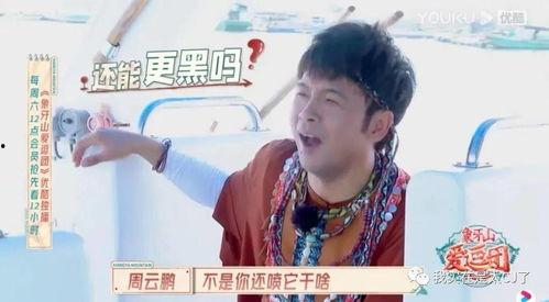 宝哥爆料吃瓜,娱乐圈最新吃瓜大揭秘！