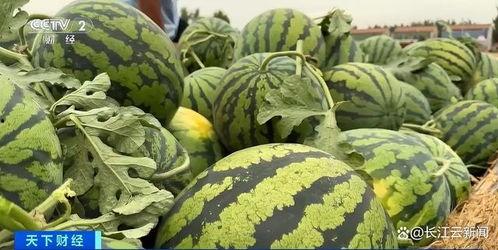 52吃瓜热门爆料,揭秘娱乐圈最新八卦风云