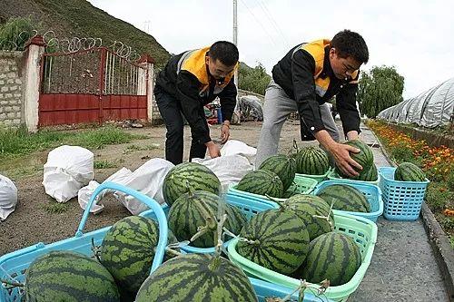 海宁吃瓜爆料公司,揭秘娱乐圈幕后真相，带你走进明星生活