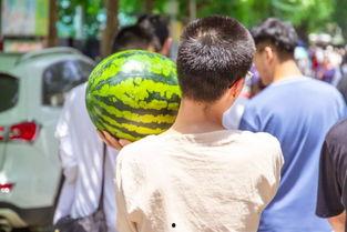 最新大学吃瓜爆料,最新吃瓜爆料，揭秘那些不为人知的校园秘密