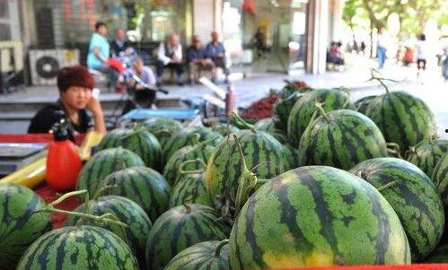 济宁爆料吃瓜群,揭秘当地热点事件背后的“吃瓜”真相