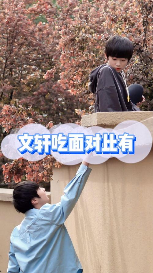 文轩吃瓜爆料,娱乐圈幕后真相大揭秘