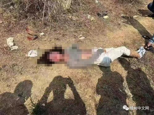 吃瓜爆料缅北事件,吃瓜群众视角下的神秘事件