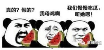 吃瓜群众的爆料,吃瓜群众爆料的惊人内幕