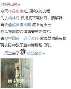 全网吃瓜爆料小说,揭秘吃瓜小说背后的真实故事
