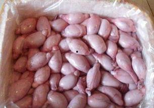 羊宝吃瓜爆料,娱乐圈幕后真相大揭秘
