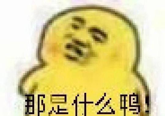 吃瓜爆料表情包,揭秘网络热传背后的趣味与真相