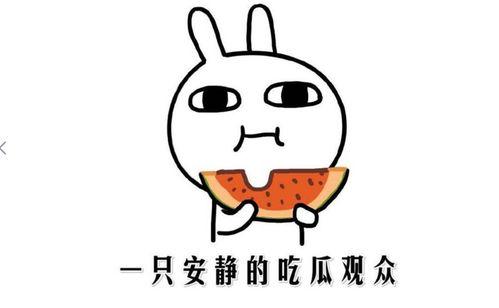 小逗逗吃瓜黑料,揭秘娱乐圈背后的真相