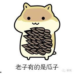 小逗逗吃瓜黑料,揭秘娱乐圈背后的真相