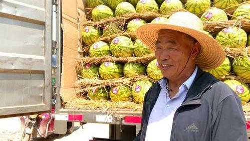 吃瓜爆料每日大瓜地址,吃瓜爆料每日大瓜最新地址，独家内幕一网打尽！