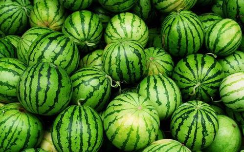 吃瓜爆料每日大瓜地址,吃瓜爆料每日大瓜最新地址，独家内幕一网打尽！