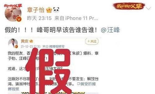 假装吃瓜爆料文案,假装吃瓜，揭秘明星幕后真相