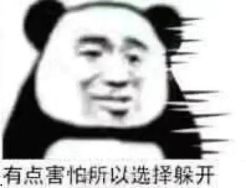 爆料吃瓜表情包,背后故事引人入胜