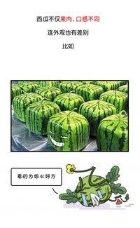 历史回顾黑料吃瓜,那些被尘封的黑料与吃瓜瞬间