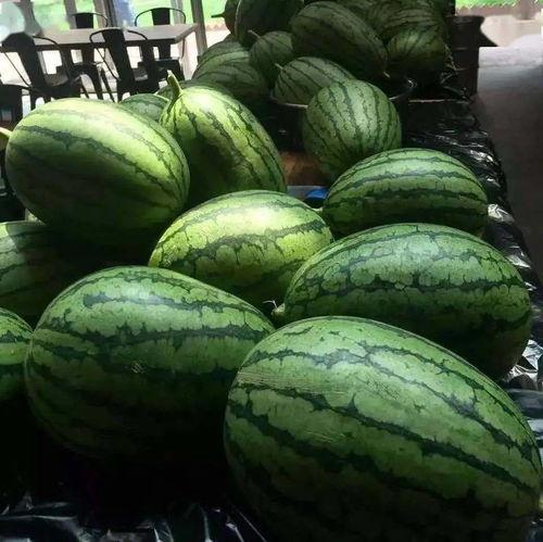 京圈爆料吃瓜,揭秘娱乐圈背后的秘密与八卦