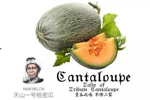 亦十二吃瓜爆料,揭秘娱乐圈背后的惊人真相