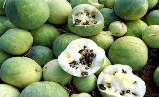 黑料正能量吃瓜,揭秘娱乐圈的“吃瓜”真相