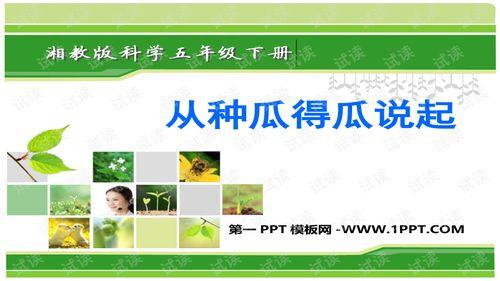 西安吃瓜爆料ppt,PPT揭秘城市生活幕后故事