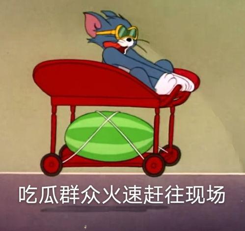 吃瓜爆料纸飞机,吃瓜爆料纸飞机带你飞越明星幕后