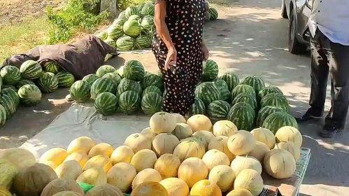 热门吃瓜爆料有哪些,揭秘明星背后的故事