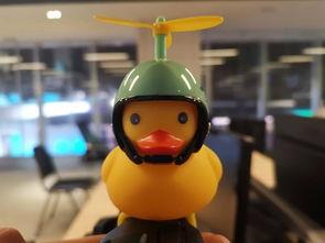 吃瓜爆料小黄鸭,吃瓜爆料小黄鸭背后的真相