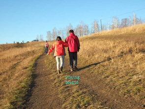 吃瓜爆料呼伦贝尔,揭秘草原上的“吃瓜”风云