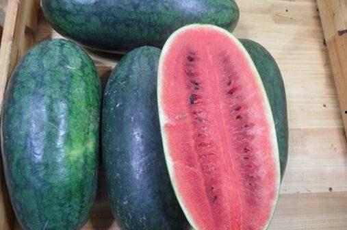 黑料吃瓜中心今日吃瓜免费,今日免费吃瓜，揭秘娱乐圈幕后真相！