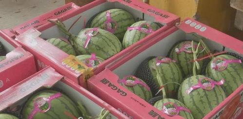 吃瓜福利爆料潮州,潮州美食狂欢盛宴