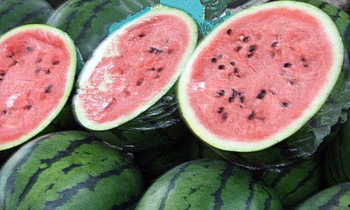 黑瓜吃料网老板,创业之路与行业洞察