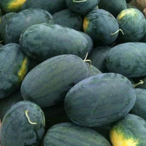 黑料吃黑瓜现场live