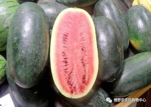 每日黑瓜吃料155