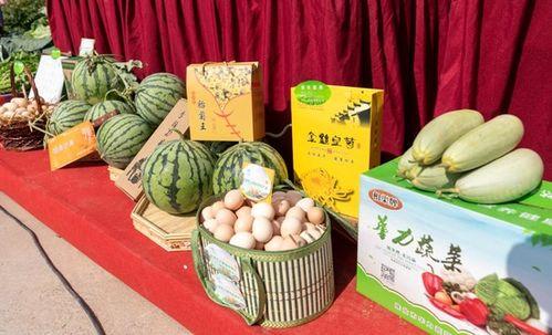 淮北爆料吃瓜事件,揭秘背后真相与网络舆论风暴