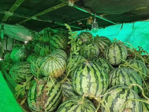 17吃瓜爆料集合,娱乐圈幕后真相大揭秘