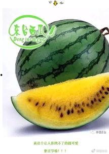 17吃瓜爆料集合,娱乐圈幕后真相大揭秘