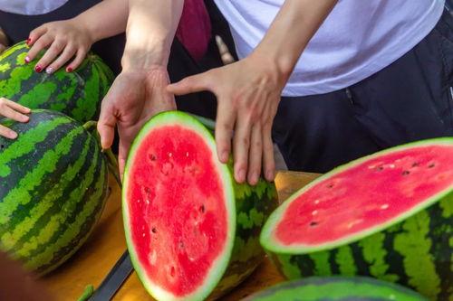 南宁吃瓜爆料大学,吃瓜爆料，大学生活大揭秘