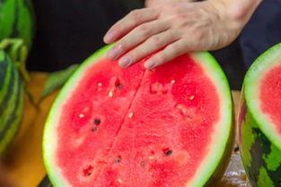 南宁吃瓜爆料大学,吃瓜爆料，大学生活大揭秘