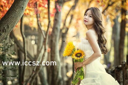 吃瓜黑料社入口