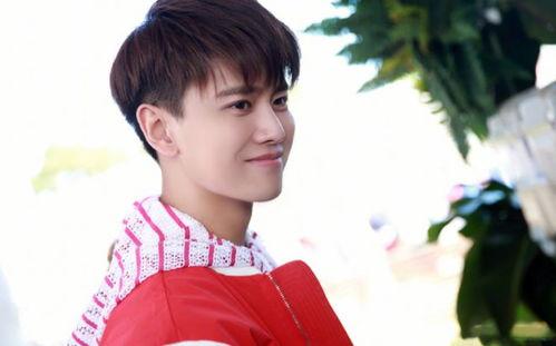 任嘉伦吃瓜爆料,娱乐圈幕后真相大揭秘