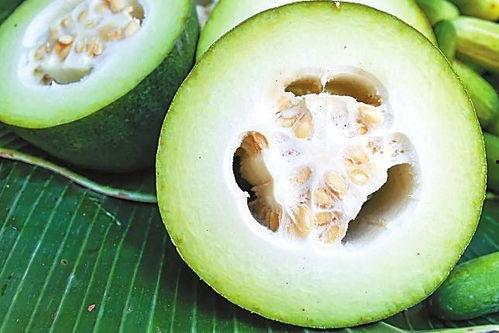 黑瓜吃料历史回顾,一场美食之旅的回顾