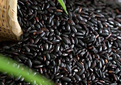 黑料吃瓜入口大豆