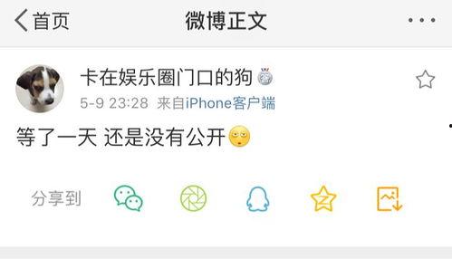 吃瓜爆料可以转发吗,谨慎转发，真相待解