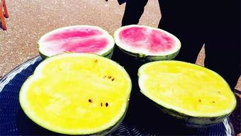 南充吃瓜爆料公司,揭秘当地热点事件背后的真相