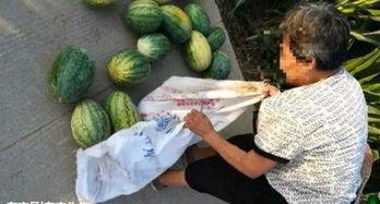 曲阳吃瓜爆料最新,揭秘娱乐圈最新热点事件