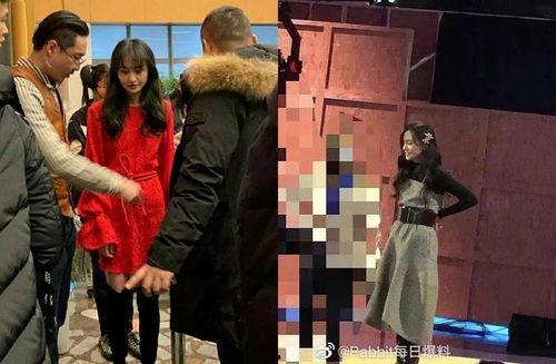 每日爆料吃瓜郑爽,娱乐圈的瓜田，谁主沉浮？