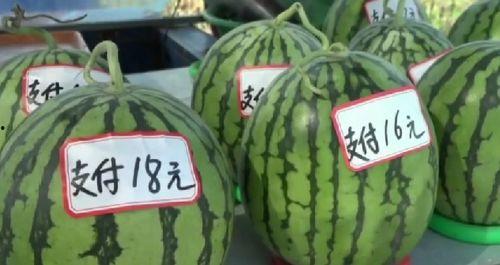 汾阳吃瓜爆料新闻,揭秘当地热点事件背后的真相