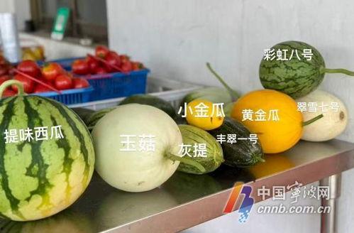 汾阳吃瓜爆料新闻,揭秘当地热点事件背后的真相