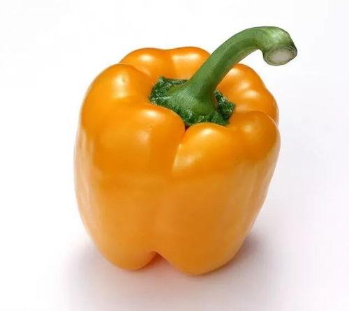 黑料黄色吃瓜群