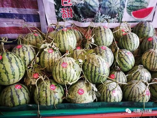 秘密通道黑料吃瓜,黑料瓜田里的真相追踪