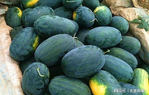 五一黑料朋友吃瓜,朋友吃瓜事件大揭秘