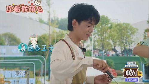 吃瓜爆料龚俊,瓜田里的明星，揭秘他的娱乐圈生活